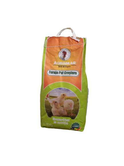 FiiGospodar Pui Faza II 10kg